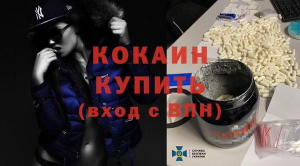 ешки Бородино