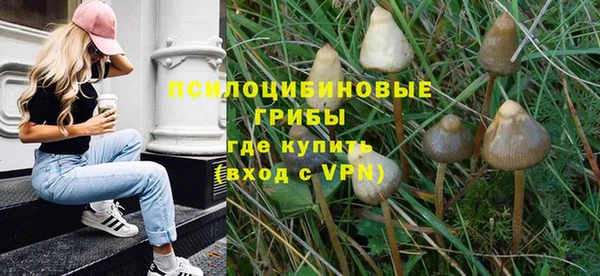 не бодяженный Бронницы
