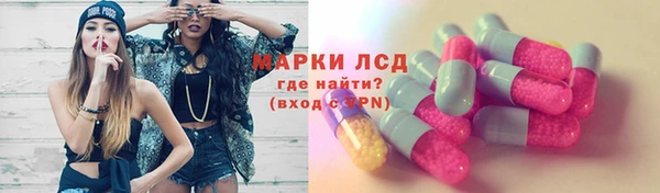 ешки Бородино