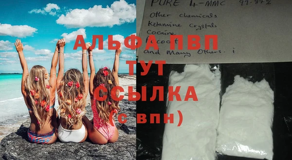 ешки Бородино