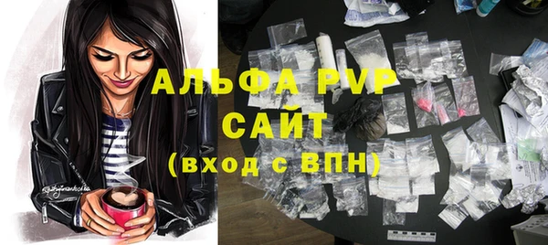 ешки Бородино