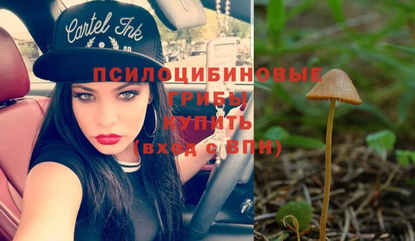 трава Бугульма