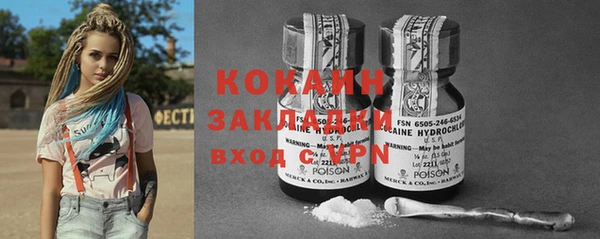 ешки Бородино