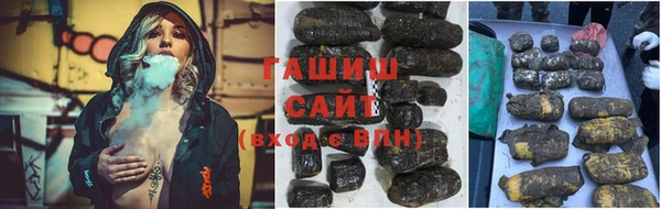 ешки Бородино