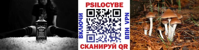 blacksprut сайт  Саров  Псилоцибиновые грибы мухоморы 